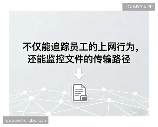 数据安全治理受关注，规范信息收集存储流程防泄露。