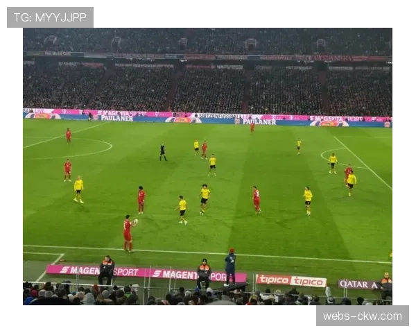 走进多特蒙德伊杜纳信号公园球场的全新LED照明系统改造工程